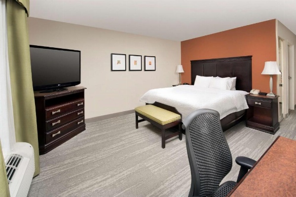 Hampton Inn Lenoir City image 16