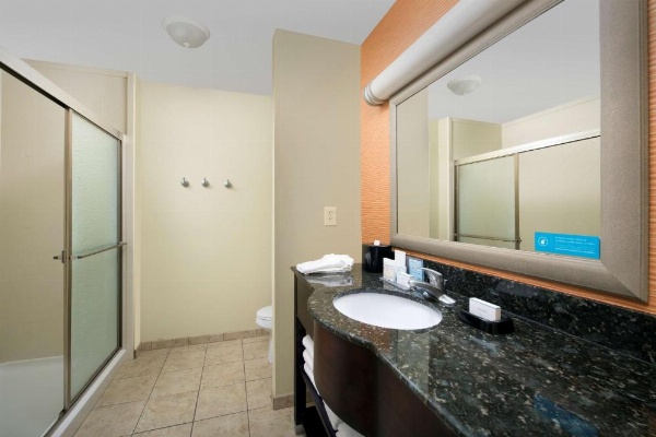 Hampton Inn Lenoir City image 20